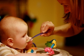 pitanie (1)