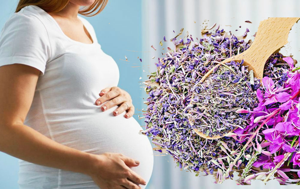 Ромашковый чай беременным. Трава для беременности. Травы для беременных. Фитотерапия при беременности. Травяные чаи и беременность.